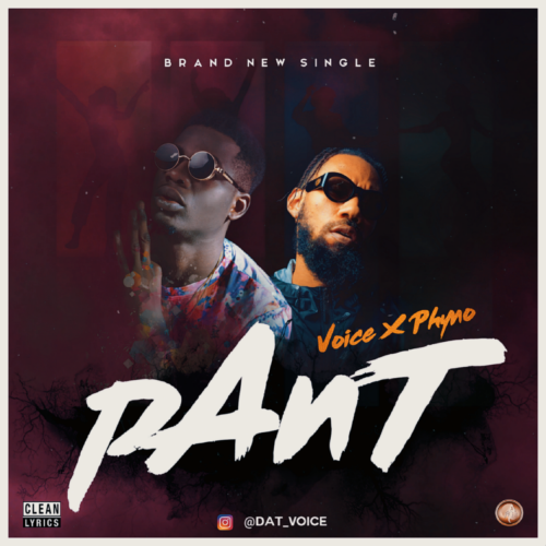 DOWNLOAD Voice feat. Phyno - 'Pant' MP3