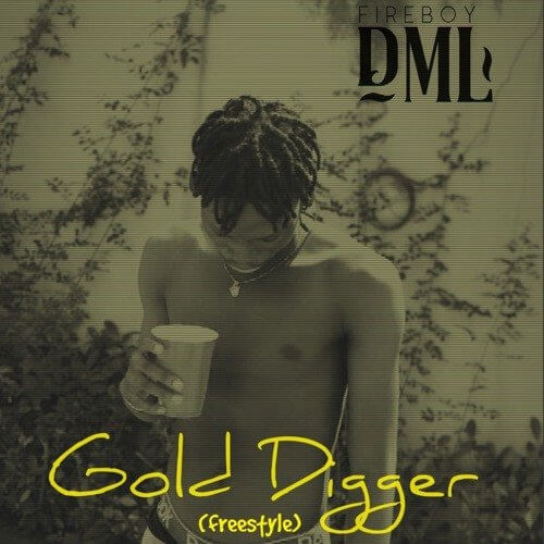 DOWNLOAD Fireboy DML – Gold Digger (Freestyle) MP3
